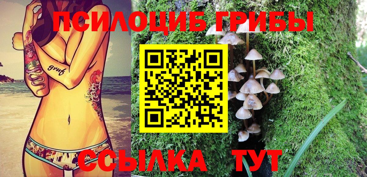 Галлюциногенные грибы мицелий  Вход с VPN  Ртищево 